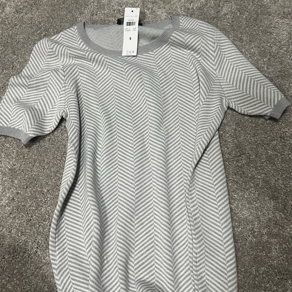 Anne Taylor sweater